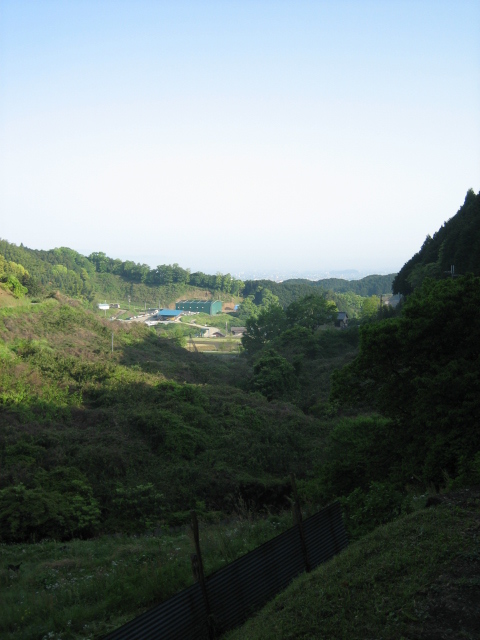 d0135633_12485352.jpg