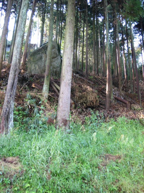 d0135633_1249263.jpg