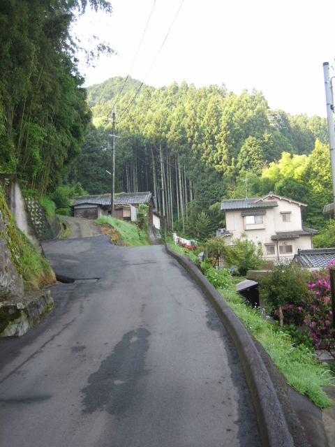 d0135633_1250163.jpg