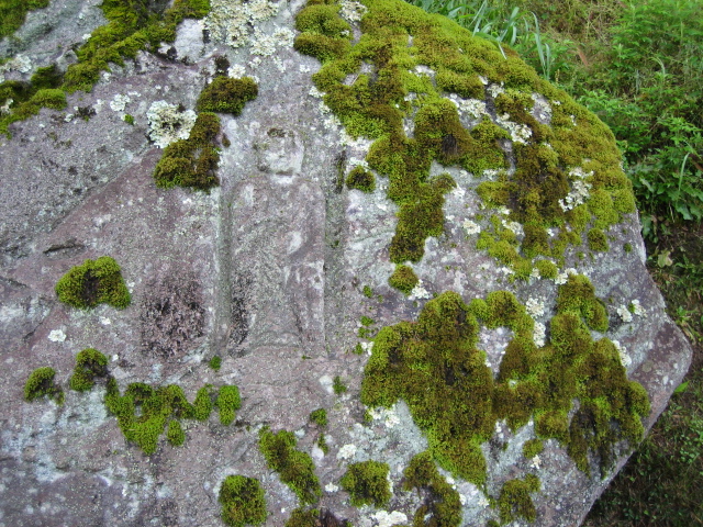 d0135633_12504090.jpg