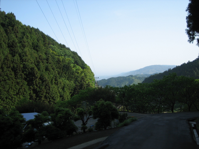 d0135633_1251817.jpg