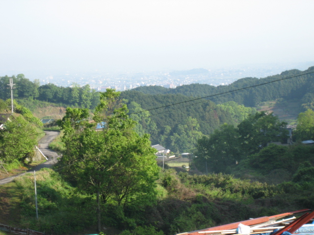d0135633_1252374.jpg