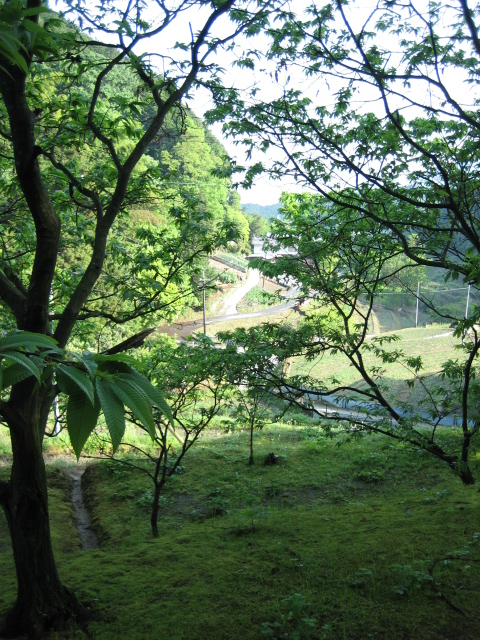 d0135633_1252862.jpg