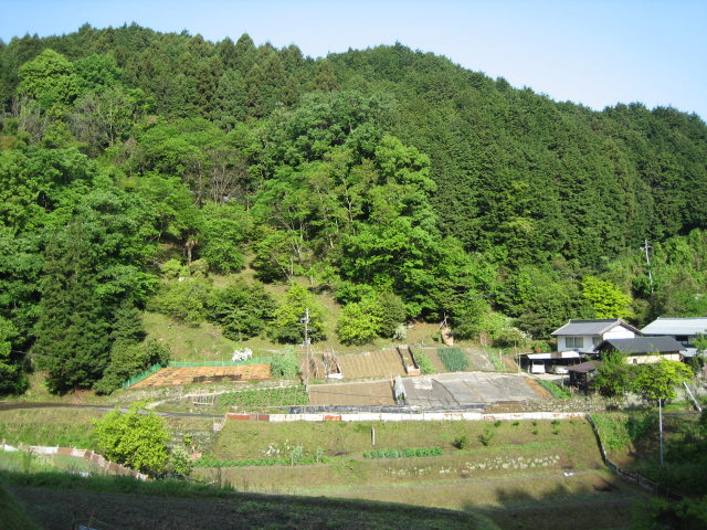 d0135633_12533496.jpg
