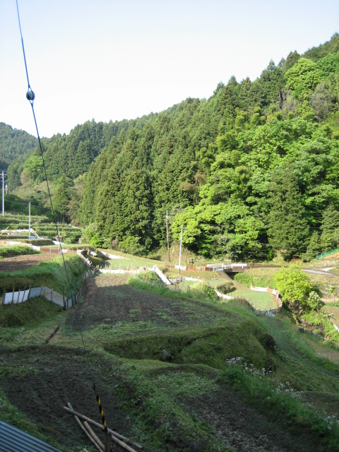 d0135633_1254569.jpg