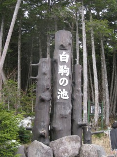 c0090236_11352438.jpg