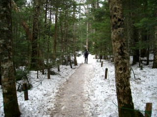 c0090236_1135441.jpg