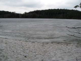 c0090236_1136493.jpg