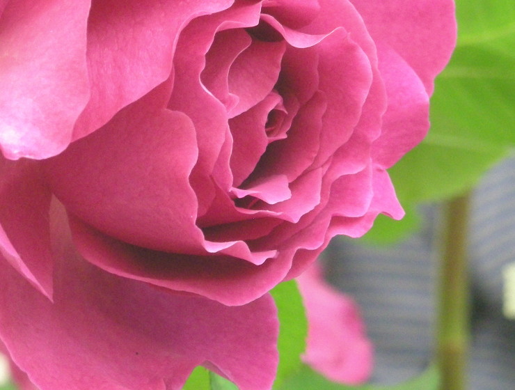 b0155640_14311.jpg