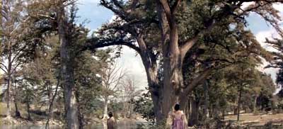 The Green Leaves of Summer (OST 『アラモ』より その1)_f0147840_011216.jpg