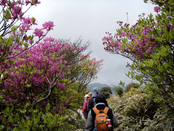 c0047341_7464217.jpg