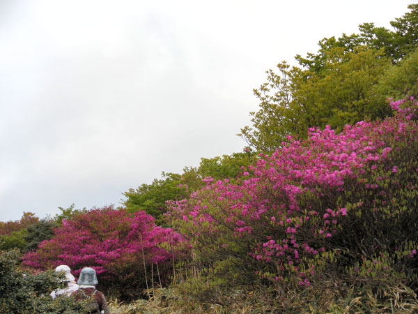 c0047341_746496.jpg