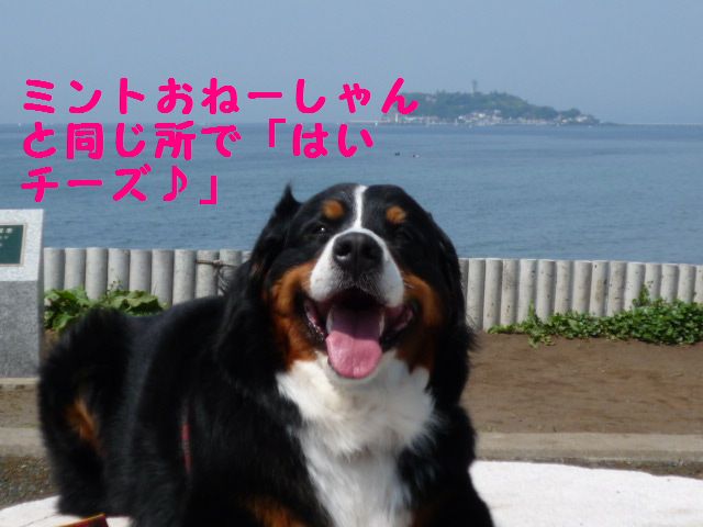 a0108146_0241722.jpg