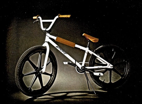 Carhartt 24″ BMX Cruiser 2009_a0118453_1834268.jpg