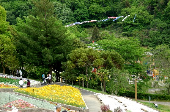 　　和歌山県植物公園緑花センター　_b0093754_0225982.jpg