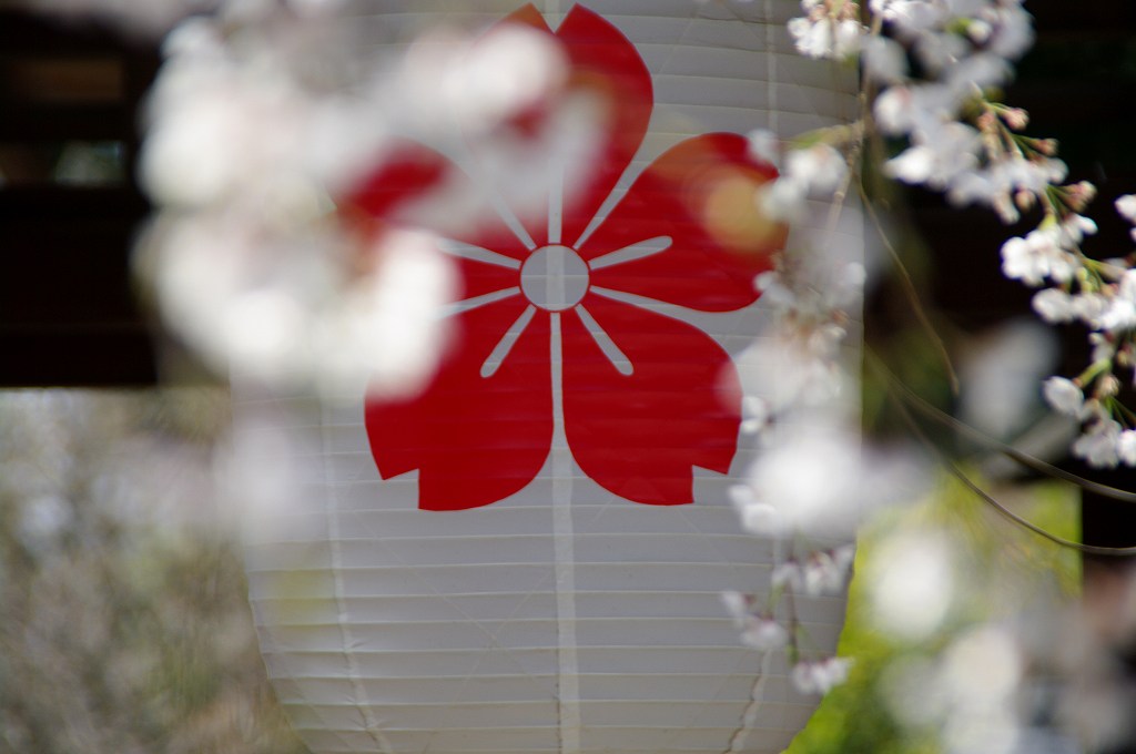 梅宮神社_f0033856_16201155.jpg