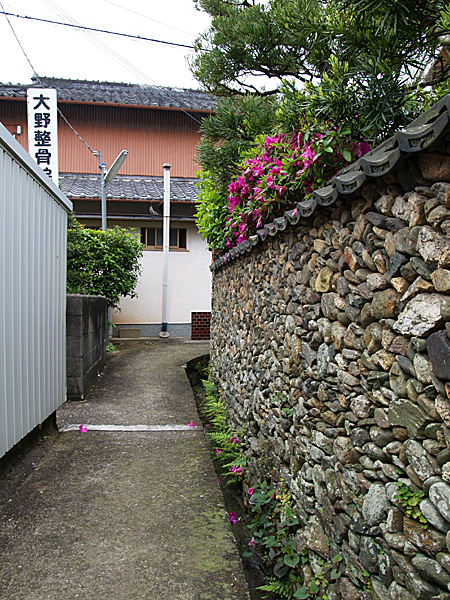 090509 路地_b0129659_10331360.jpg