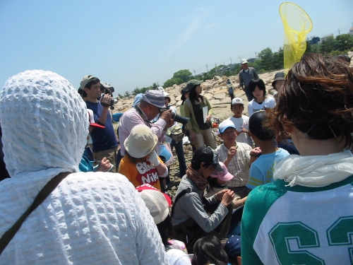 第２回大阪湾生き物一斉調査　in せんなん里海公園海岸_c0108460_23534153.jpg