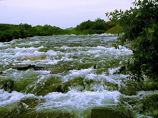 f0084561_14131460.jpg