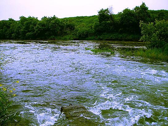 f0084561_14135914.jpg