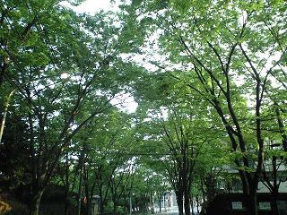 休日_c0151965_18263147.jpg