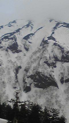 a0064366_15423528.jpg