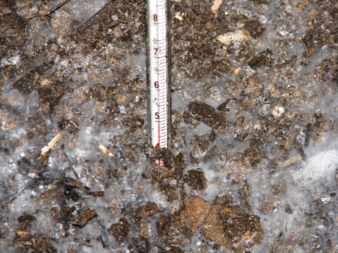 f0131768_23392179.jpg