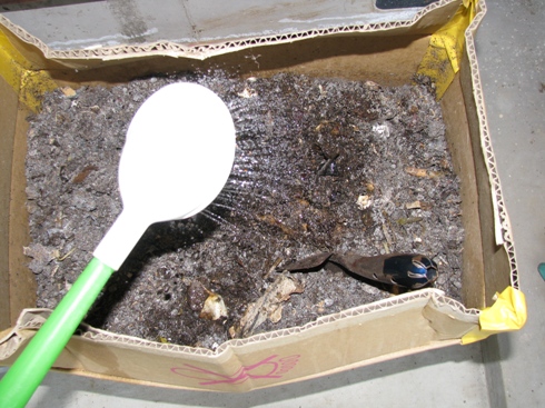 f0131768_23454271.jpg