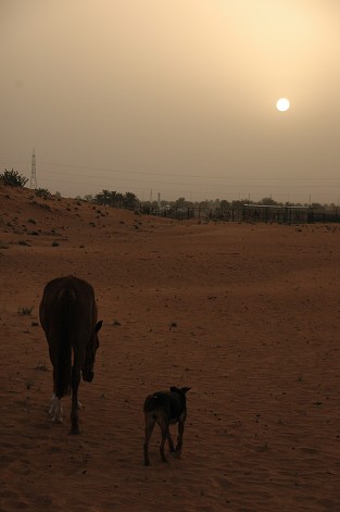 e0066474_291272.jpg