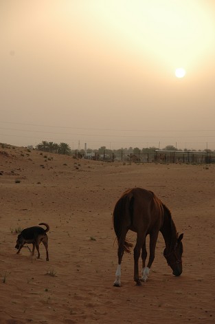 e0066474_29414.jpg