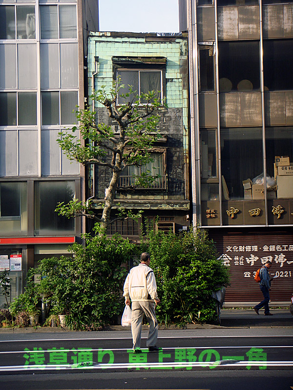 b0091575_7311556.jpg