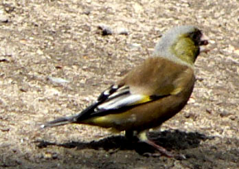 f0083977_22353811.jpg