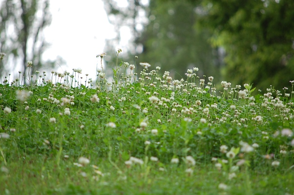b0143983_13423480.jpg