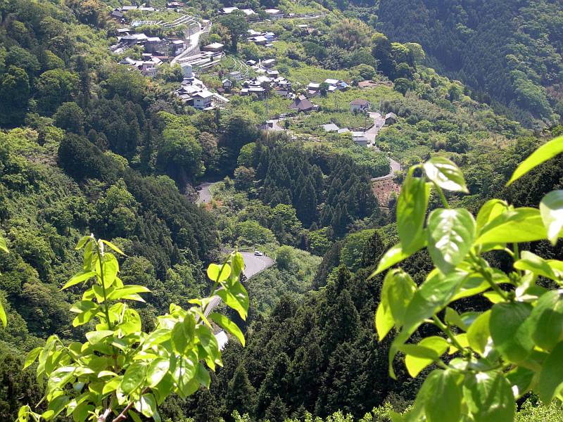 d0036883_2230282.jpg
