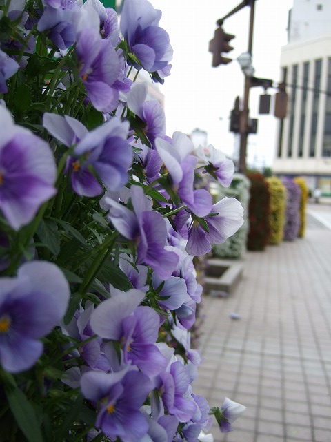 e0144986_9223215.jpg