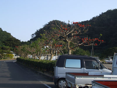 e0028387_2257356.jpg