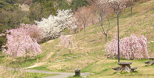 a0088890_954747.jpg
