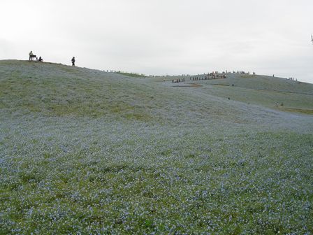 d0125890_9494234.jpg