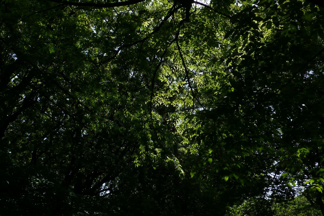 c0190391_17593795.jpg