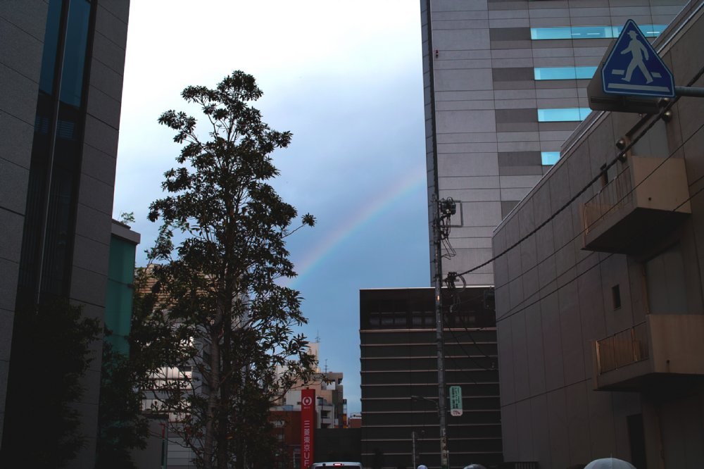 c0124795_11563115.jpg