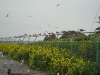 d0004195_23195477.jpg