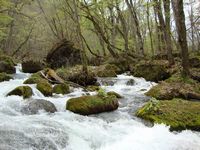d0004195_23303042.jpg