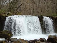d0004195_2333012.jpg