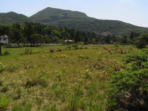 f0187402_19225041.jpg