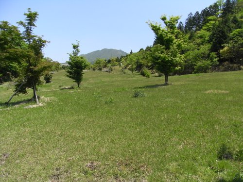 f0187402_19244653.jpg