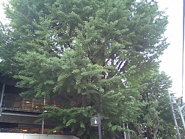 d0054704_2143688.jpg