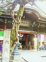 c0148705_2348404.jpg
