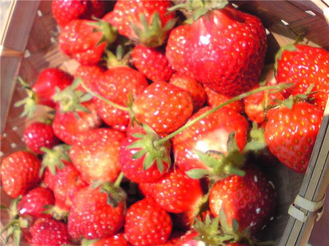 f0181005_1455764.jpg