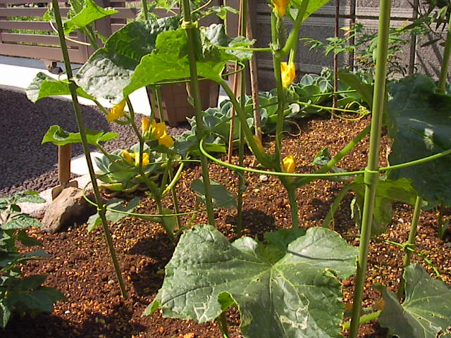 f0038407_23163432.jpg