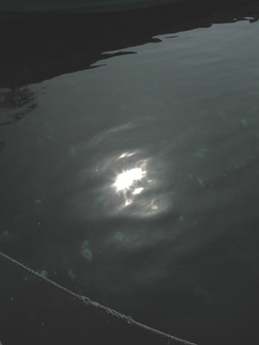 c0170208_903140.jpg